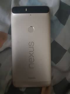 Nexus phone