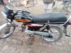 safari bike for sale