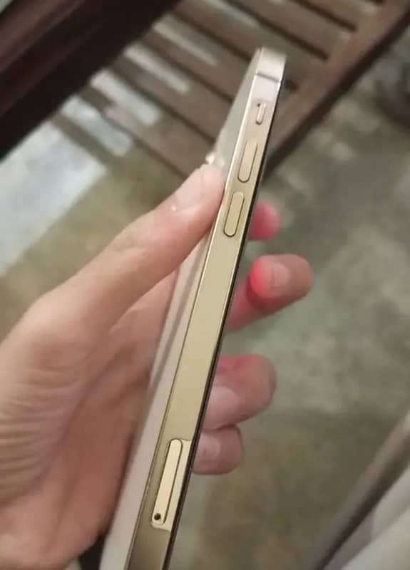 iPhone 12 Pro golden color 128 gb jv chip 6