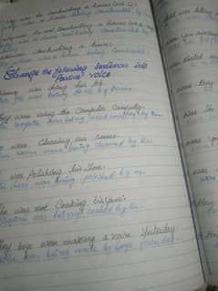 Hand writing assignment work