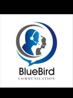 We are hiring in blue bird communications as CSR