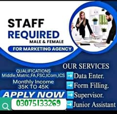 Hiring Urgent Staff