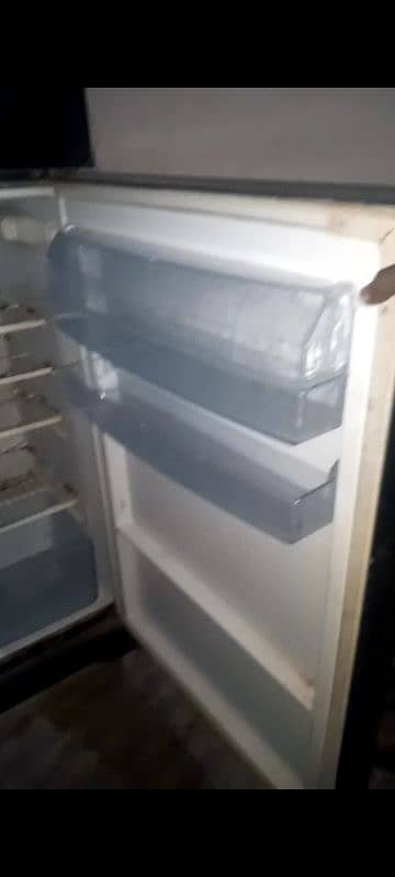 Electrolux fridge 3