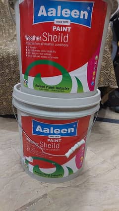 Aaleen paint  white