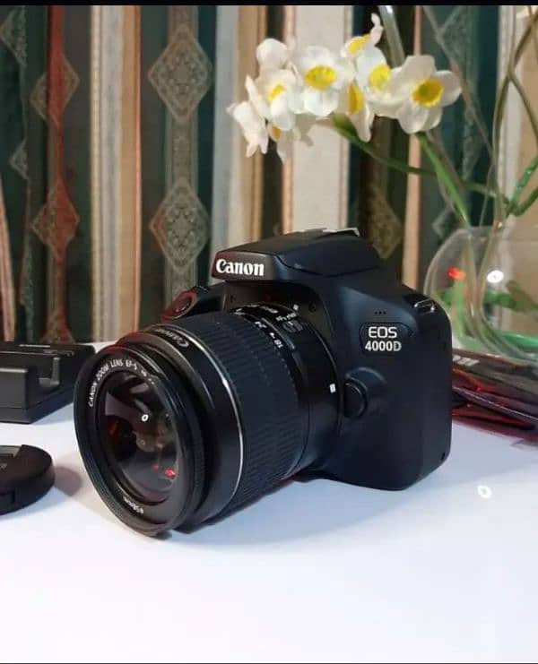 Canon DSLR 2