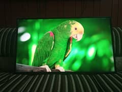 42 Inch LED TV Nikai (imported)