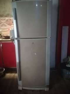 DAWLANCE REFRIGERATOR/0/324/43/34712