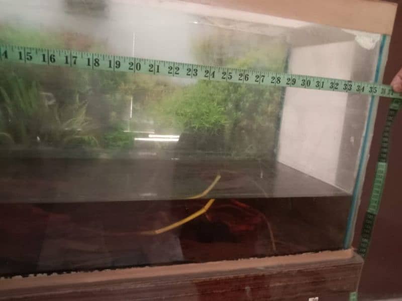 Aquarium for urgent sale 1