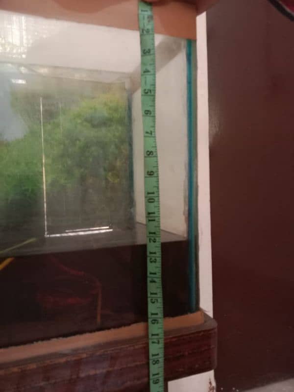 Aquarium for urgent sale 2