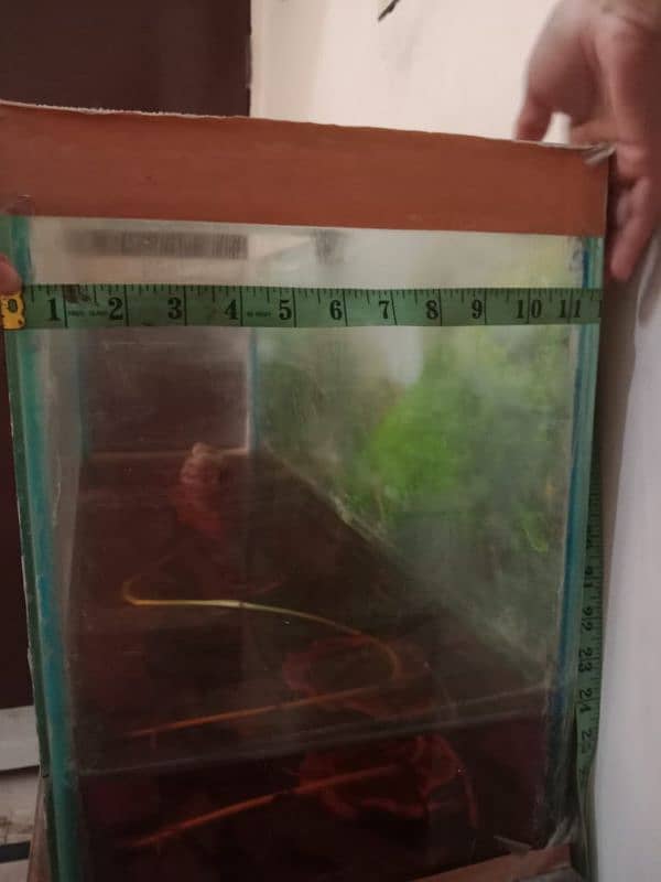 Aquarium for urgent sale 3