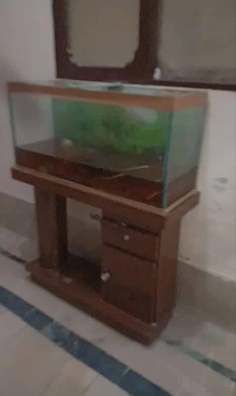 Aquarium for urgent sale 4