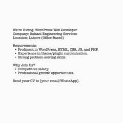 web developer website designer word press developer