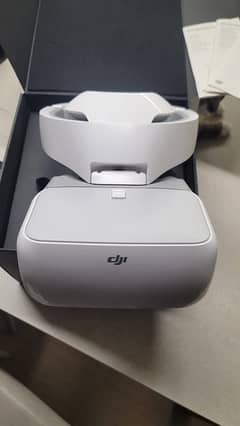 dji goggles