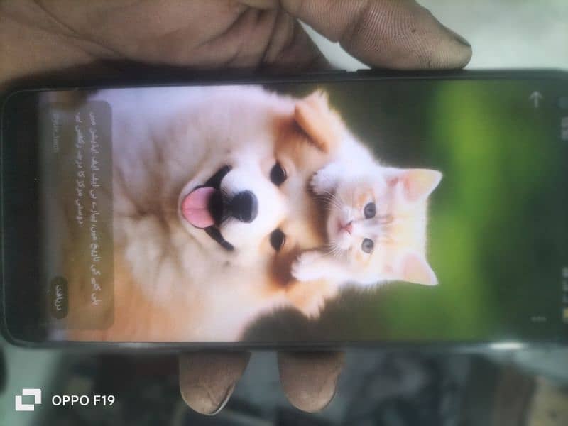 oppo A54 6