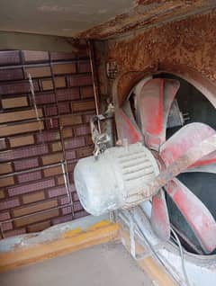 medium size cooler fan available