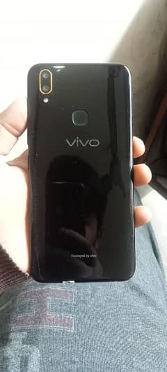 Vivo