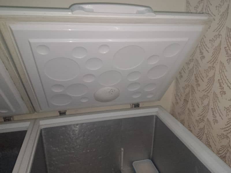 freezer with two doors only 7 month used 1