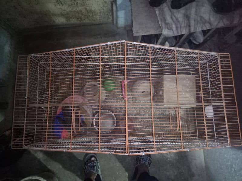 CAGE FOR SALE 2