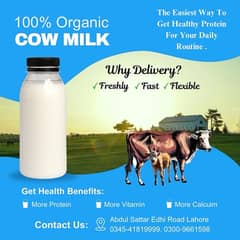 100% pure organic fresh cow milk guaranted