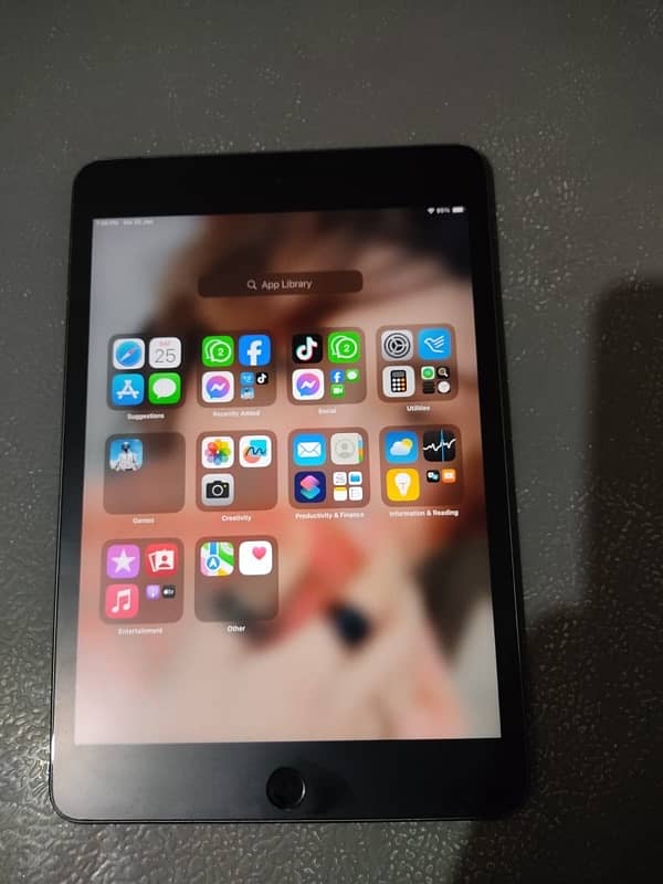 ipad mini 5 1