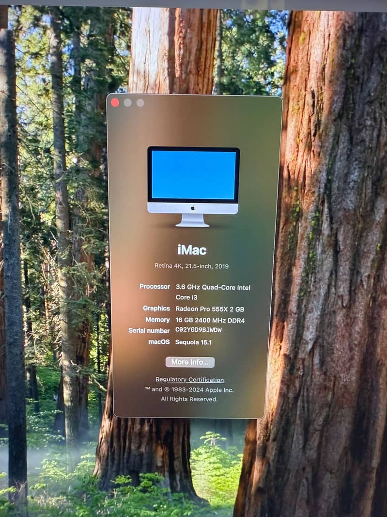 Apple iMac 2019 - i7 - i5 - i3 - 10/10 Conditions - 21.5 inches 1