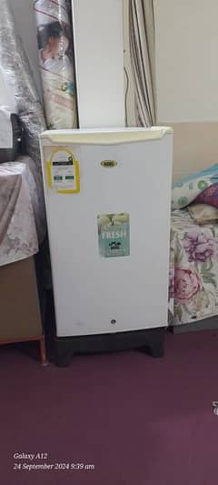 HAAS Imported Refrigerator