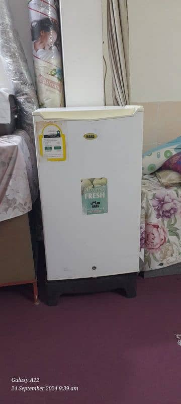 HAAS Imported Refrigerator 0