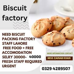 need staff  biscuits  factory jobs available in Lahore