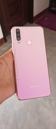 vivo