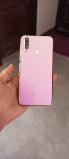 vivo