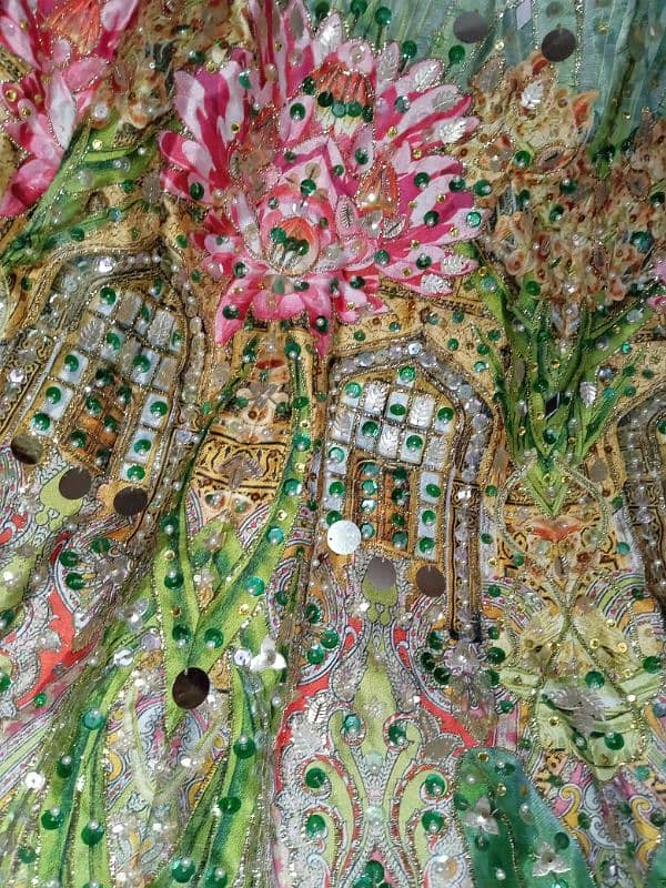 unique very beautiful very pretty lehnga in multi shade color 5