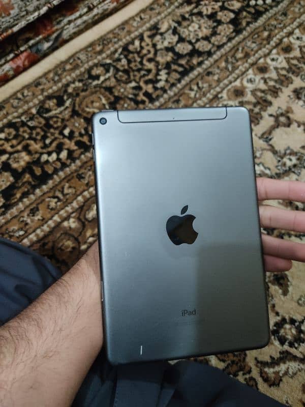 IPad mini 5 256GB cellular 3