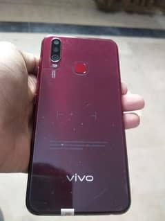 Vivo