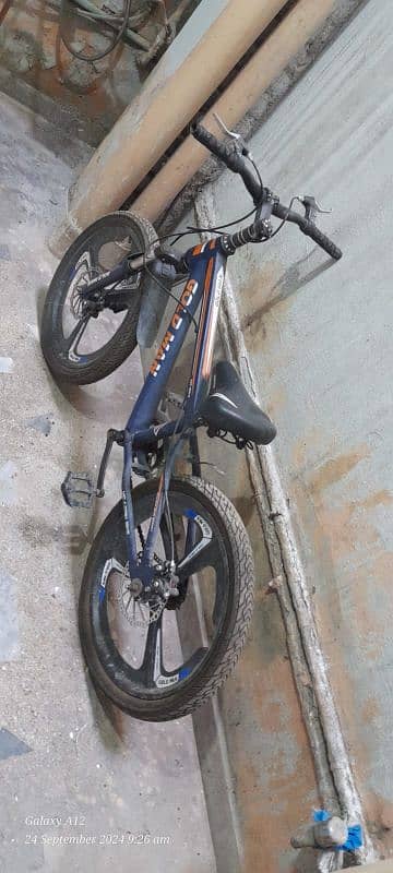 Goldman Mountain Bicycle 1