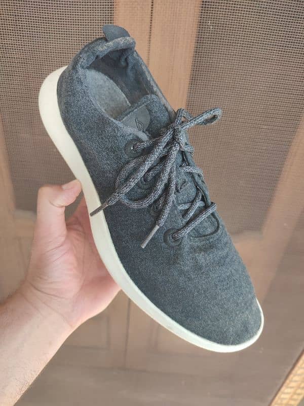 Allbirds Original Shoes 1