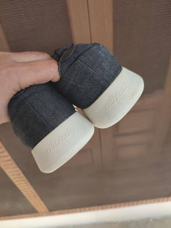 Allbirds Original Shoes 6