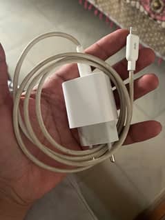 iPhone charger