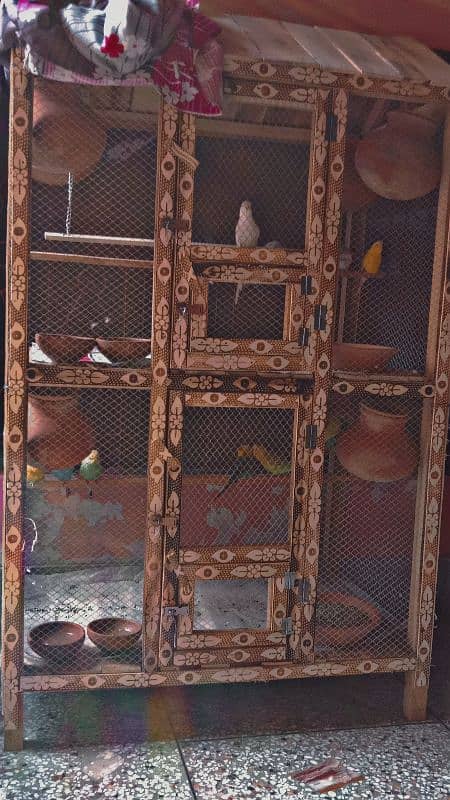 heavy beautiful cage with parrots full colony setup for sale. 1