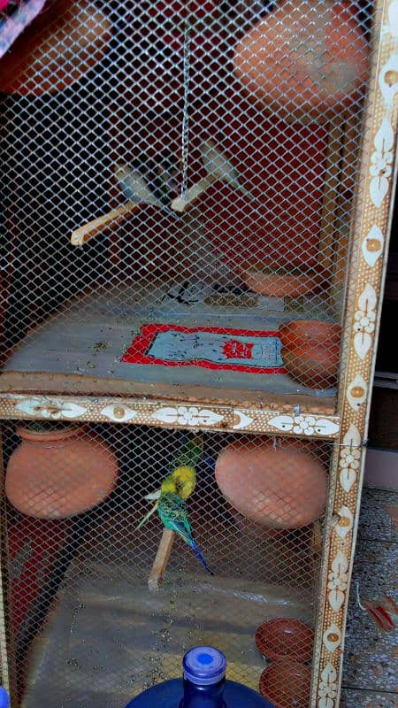 heavy beautiful cage with parrots full colony setup for sale. 2