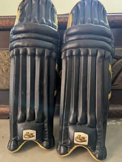 International ihsan pads platinum edition