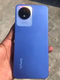 vivo