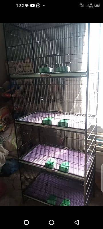 Birds Cage 0