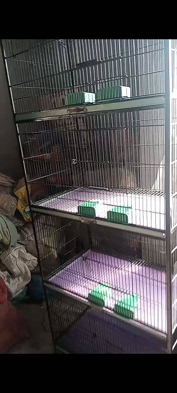 Birds Cage 4