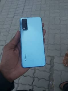 vivo