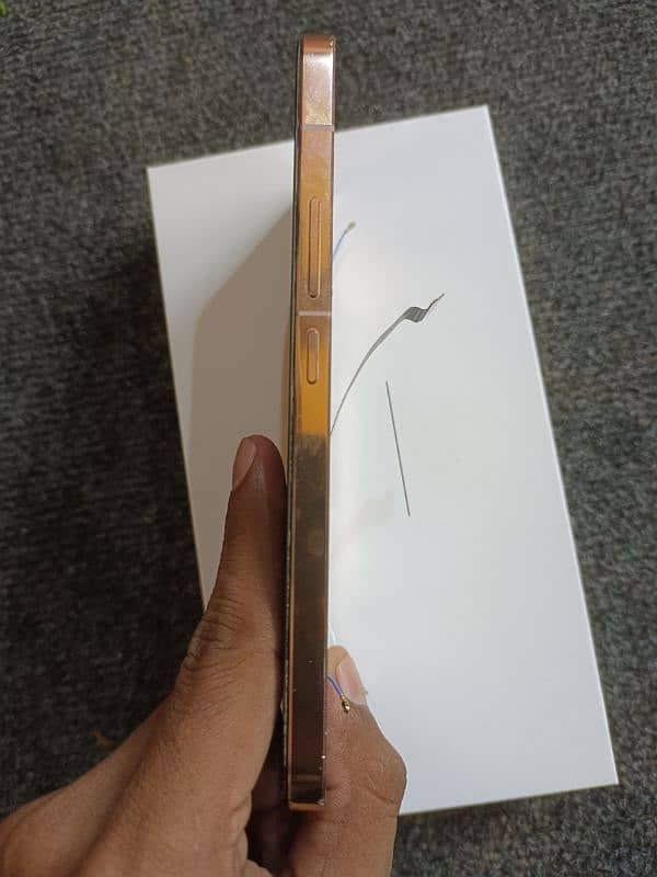 Vivo v23 Mobile penal 3