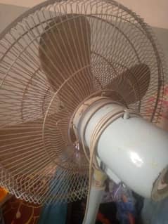 Table Fan