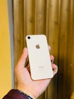 iphone 8 10/10 . . whatsapp only 0317/032/5907