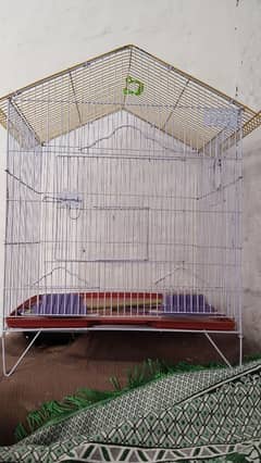 Raw parrot cage