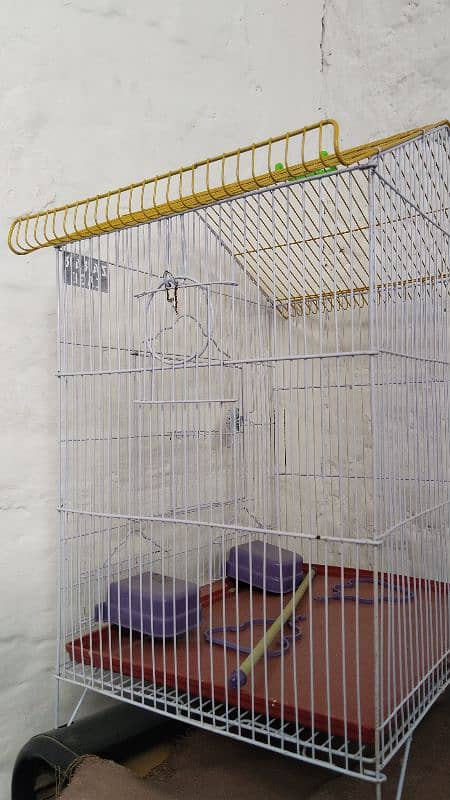 Raw parrot cage 1