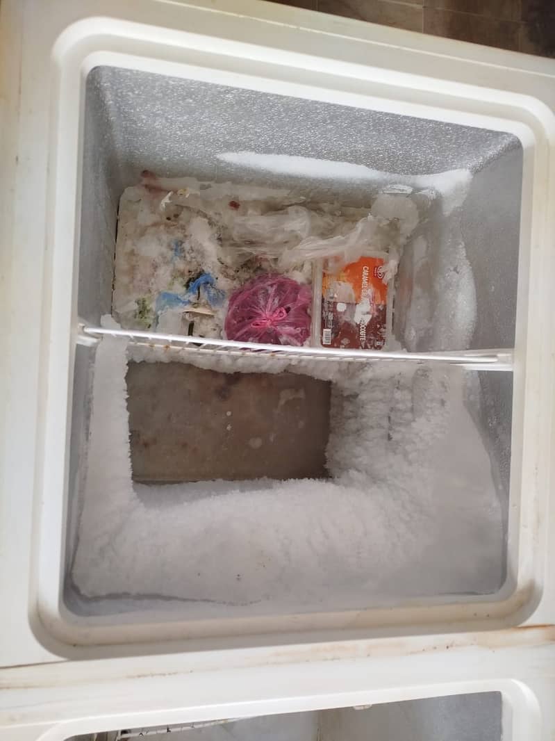 Waves Double door deep freezer 5